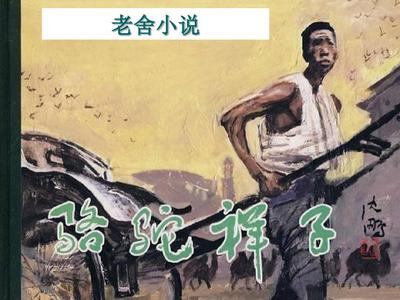 蘑菇网91